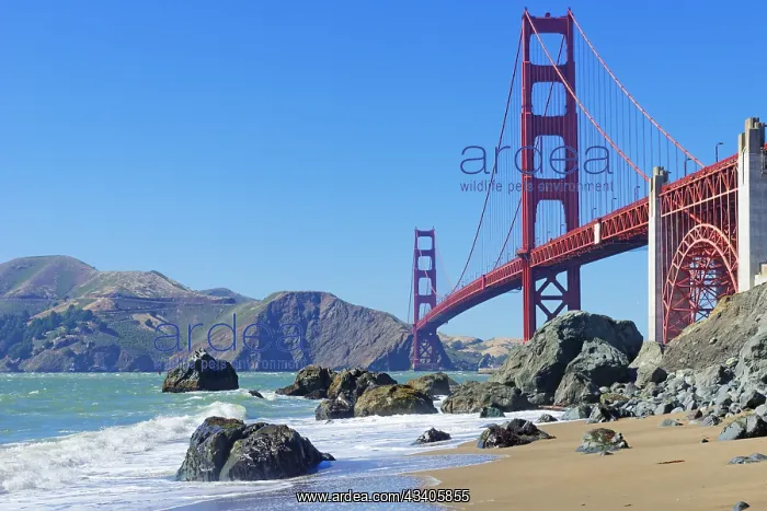 : DIG, geography / travel, USA, California, Golden : DIG, geography / travel, USA, California, Golden