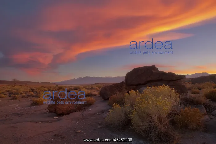 : DIG, geography / travel, USA, California, Owens : DIG, geography / travel, USA, California, Owens