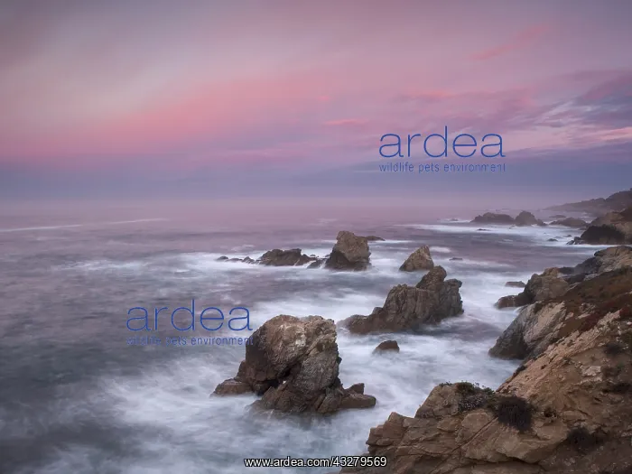 : DIG, geography / travel, USA, California, Pacific : DIG, geography / travel, USA, California, Pacific