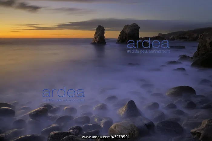 : DIG, geography  /  travel, USA, California, Pacific