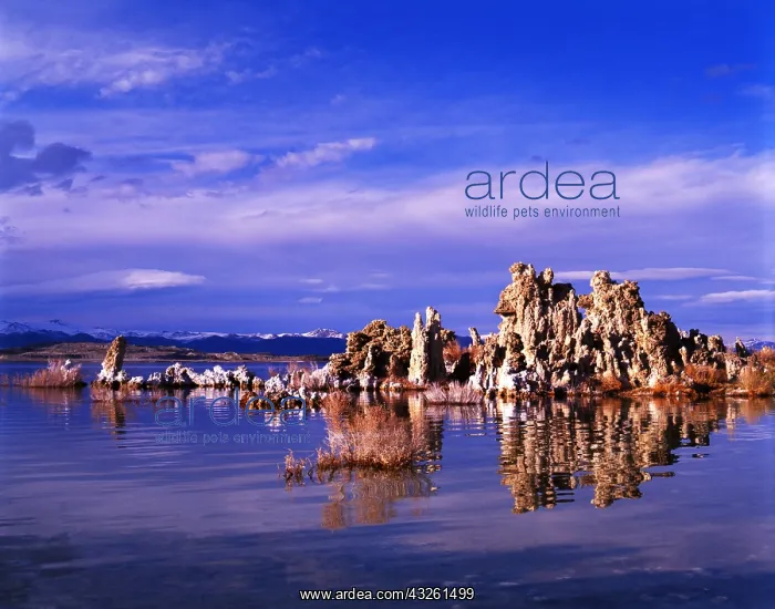 : DIG, geography / travel, USA, California, Tufa : DIG, geography / travel, USA, California, Tufa