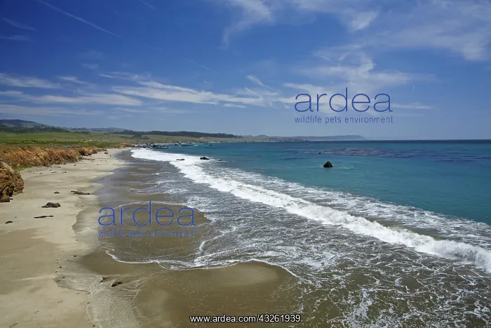 : DIG, geography / travel, USA, California, William : DIG, geography / travel, USA, California, William
