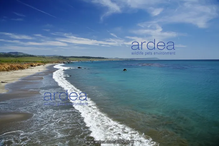 : DIG, geography / travel, USA, California, William : DIG, geography / travel, USA, California, William