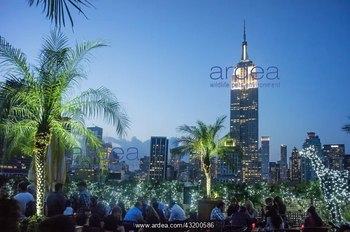 : DIG, geography / travel, USA, Empire State building : DIG, geography / travel, USA, Empire State building