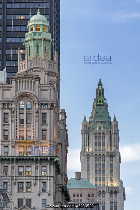 : DIG, geography / travel, USA, Woolworth Building : DIG, geography / travel, USA, Woolworth Building