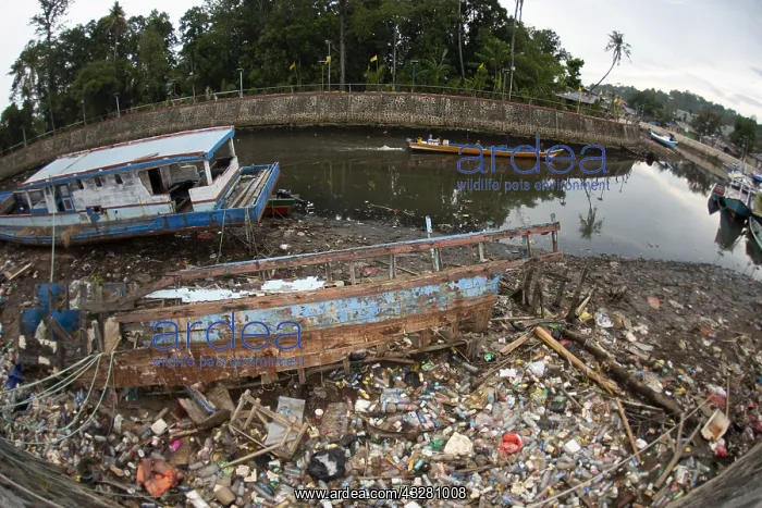  : Dilapidated boats - on land with garbage by river