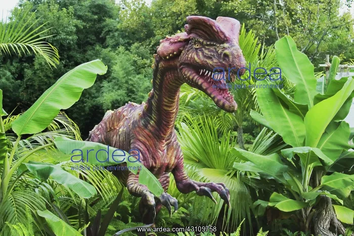 : Dilophosaurus : Dilophosaurus