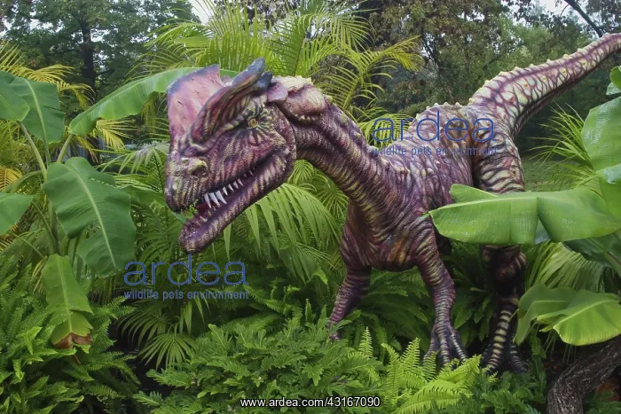 : Dilophosaurus : Dilophosaurus