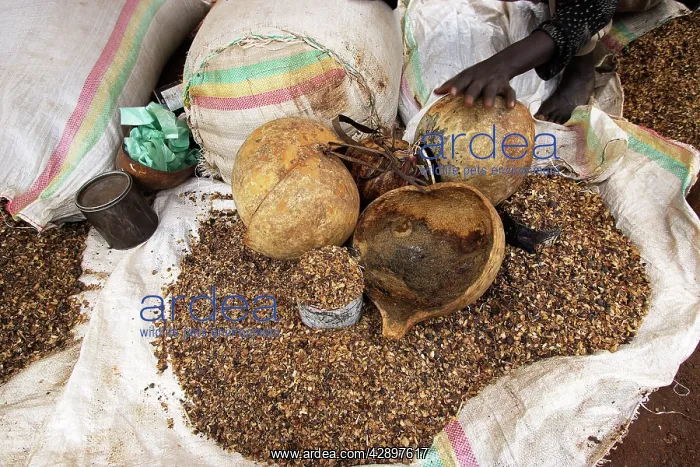 : Dimeka market - coffee market (coffee bean husks) : Dimeka market - coffee market (coffee bean husks)