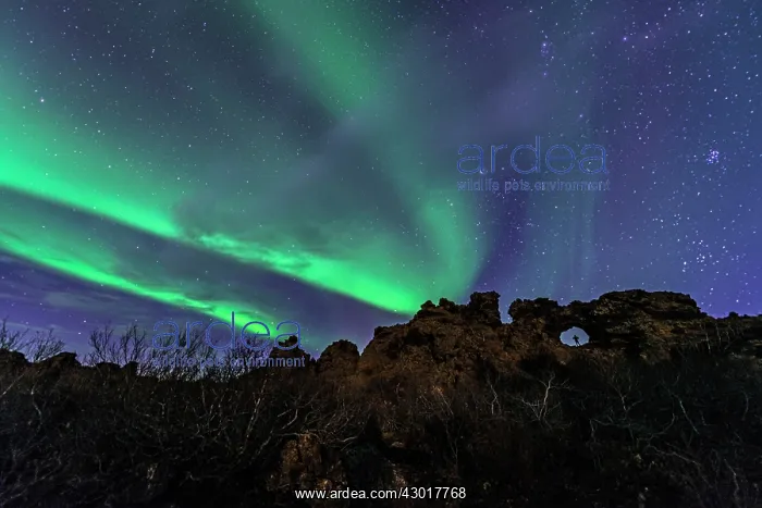  : Dimmuborgir Lava Formation at night with Northern