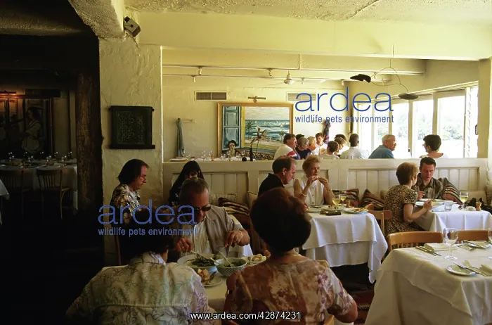 : Diners at the Bathers Pavilion Balmoral Beach : Diners at the Bathers Pavilion Balmoral Beach