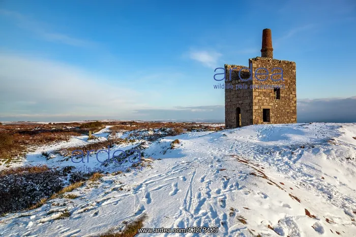 : Ding Dong Mine - in Snow - Cornwall - UK : Ding Dong Mine - in Snow - Cornwall - UK