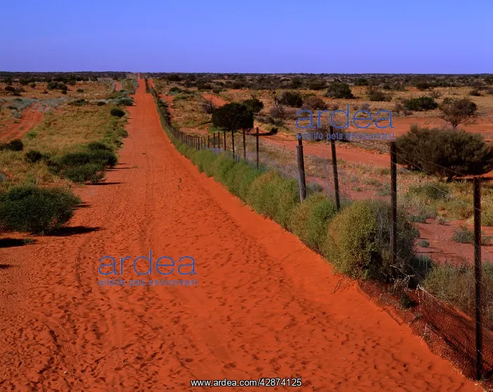 : Dingo fence near Camerons Corner : Dingo fence near Camerons Corner