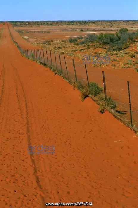 : Dingo fence Sturt National Park : Dingo fence Sturt National Park