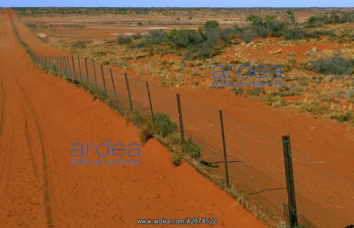 : Dingo fence Sturt National Park : Dingo fence Sturt National Park