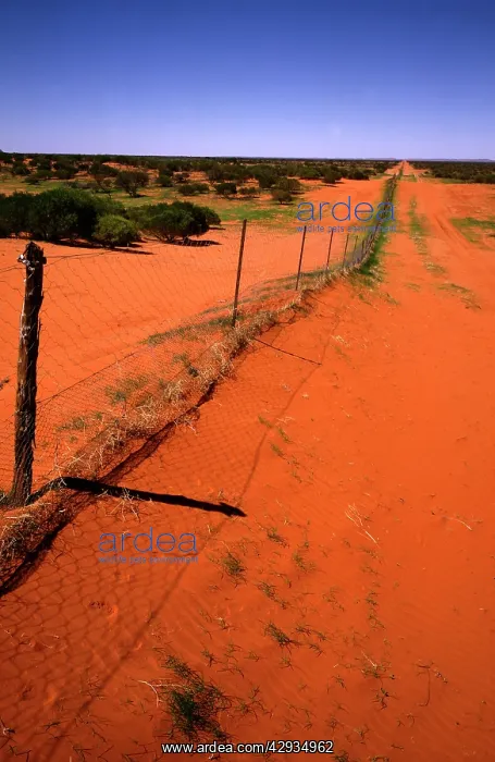  : Dingo fence.preventing dingos entering NSW from