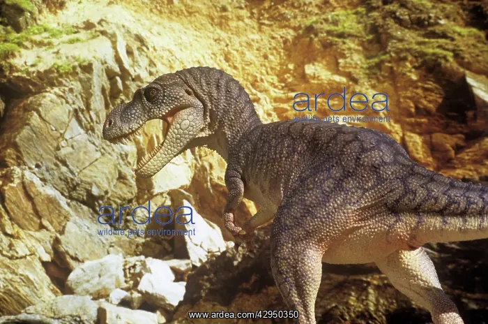 : Dinosaur - Albertosaurus - hunting : Dinosaur - Albertosaurus - hunting
