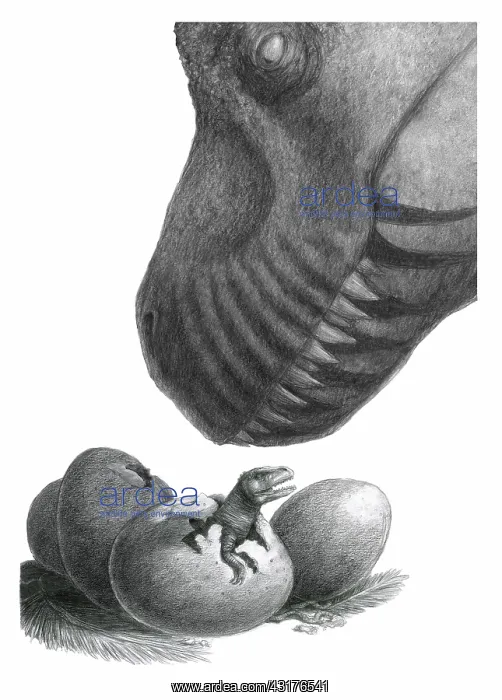 : Dinosaur with Eggs : Dinosaur with Eggs