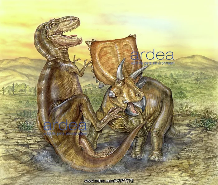 : Dinosaur fight scene : Dinosaur fight scene