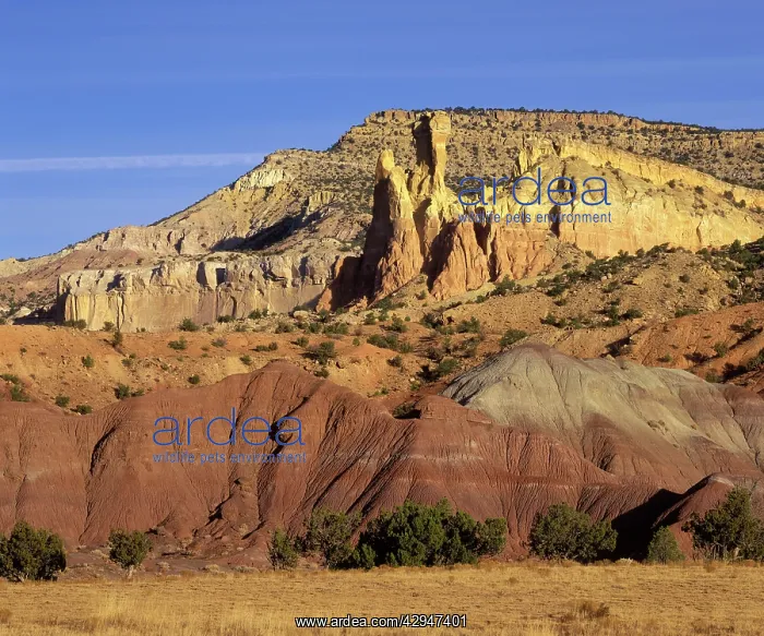 : Dinosaur geology: Sedimentary sequence at Ghost : Dinosaur geology: Sedimentary sequence at Ghost