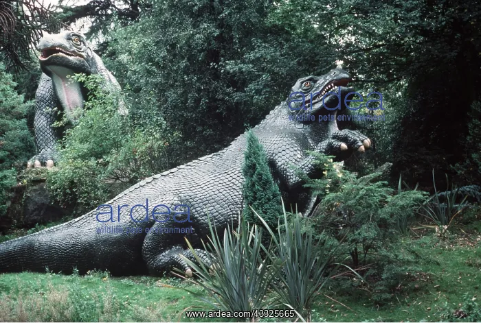 : DINOSAUR - Iguanodon model : DINOSAUR - Iguanodon model