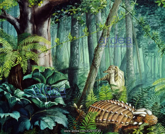 : Dinosaur Illustration - Anklyosaurus - family Anklyosauridae : Dinosaur Illustration - Anklyosaurus - family Anklyosauridae