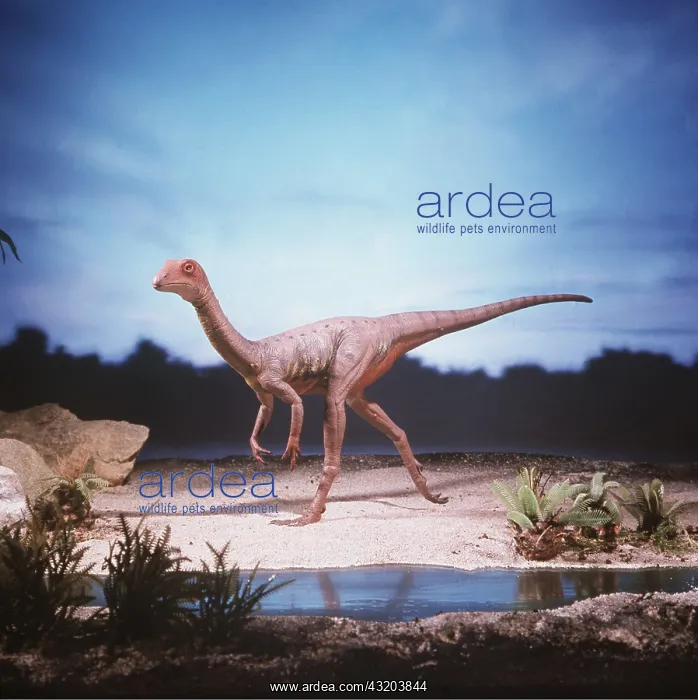 : Dinosaur Model - Compsognathus : Dinosaur Model - Compsognathus