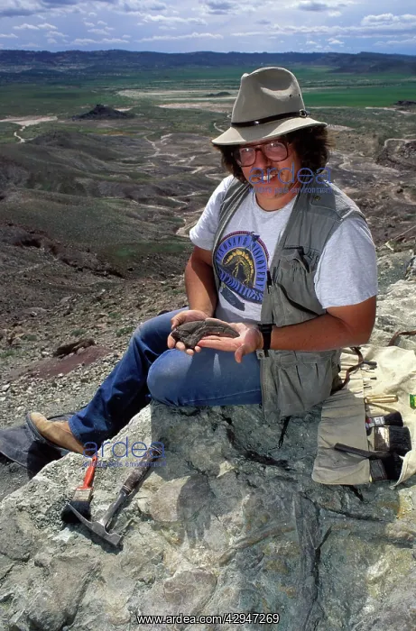 : Dinosaur paleontologist Dr. Jim Kirkland : Dinosaur paleontologist Dr. Jim Kirkland