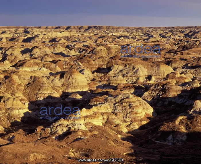 : Dinosaur Provincial Park : Dinosaur Provincial Park