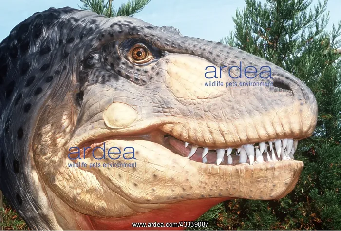 : Dinosaur Reconstruction - Tyrannosaurus Rex model : Dinosaur Reconstruction - Tyrannosaurus Rex model