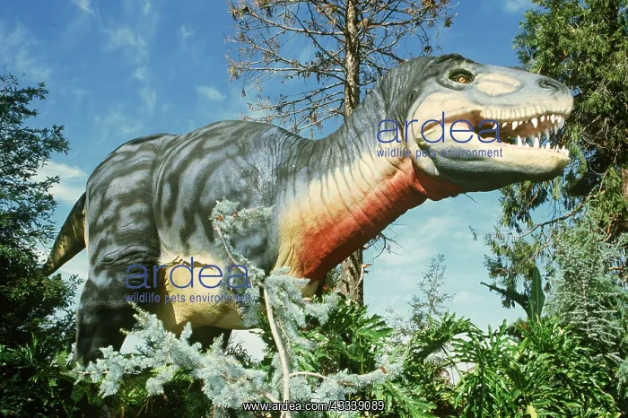 : Dinosaur Reconstruction - Tyrannosaurus rex model : Dinosaur Reconstruction - Tyrannosaurus rex model