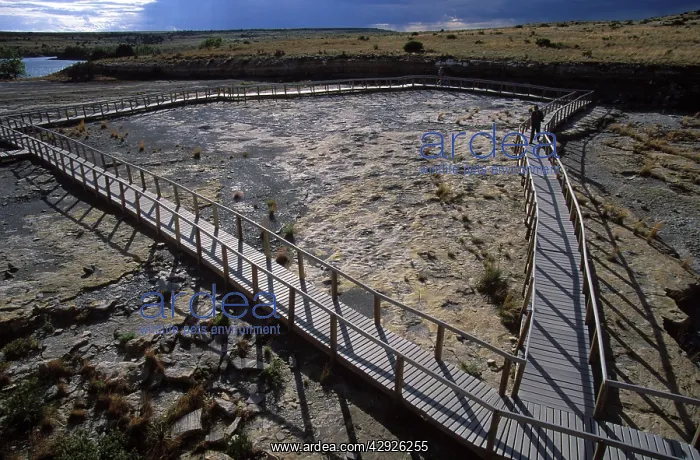 : Dinosaur tracks: Clayton Lake State Park, New Mexico, USA : Dinosaur tracks: Clayton Lake State Park, New Mexico, USA