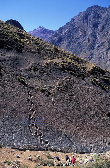 : Dinosaur trackways - Chile : Dinosaur trackways - Chile