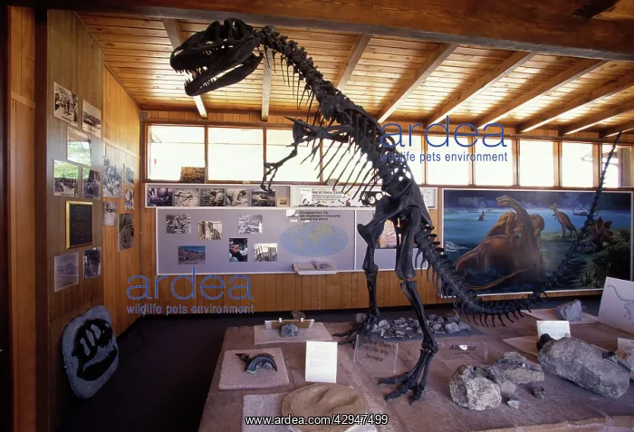 : Dinosaurs. Cleveland-Lloyd Quarry Visitor CenterSouth of Price City, Utah : Dinosaurs. Cleveland-Lloyd Quarry Visitor CenterSouth of Price City, Utah