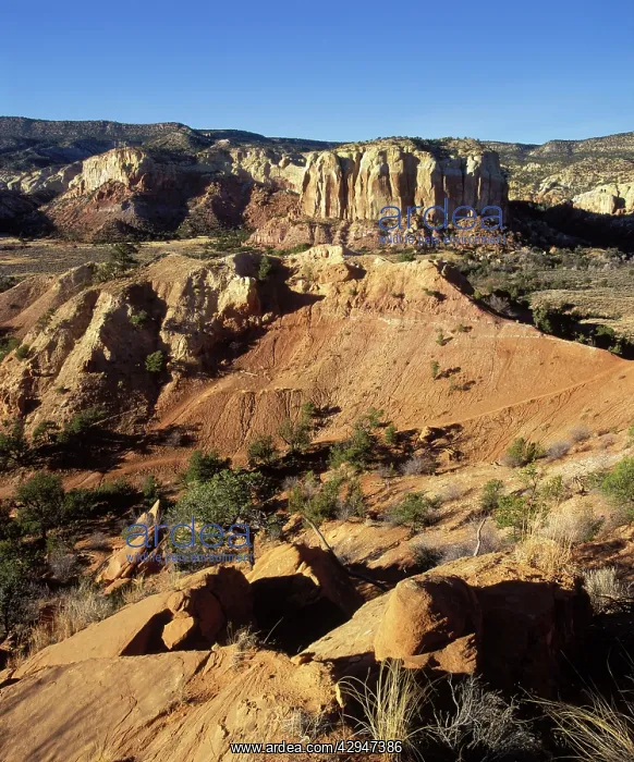 : Dinosaurs - Geology : Dinosaurs - Geology
