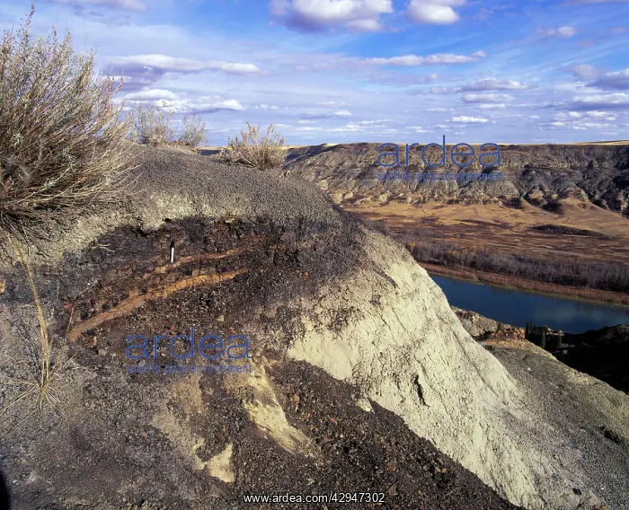 : Dinosaurs - Geology: the Cretaceous - Tertiary : Dinosaurs - Geology: the Cretaceous - Tertiary