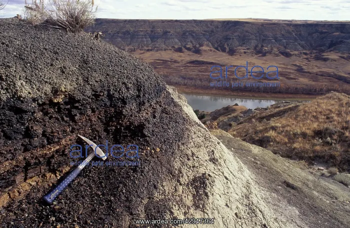 : Dinosaurs - Geology: the Cretaceous-Tertiary boundary : Dinosaurs - Geology: the Cretaceous-Tertiary boundary