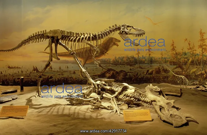 : Dinosaurs - Theropods : Dinosaurs - Theropods