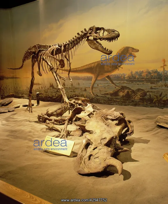 : Dinosaurs - Theropods : Dinosaurs - Theropods
