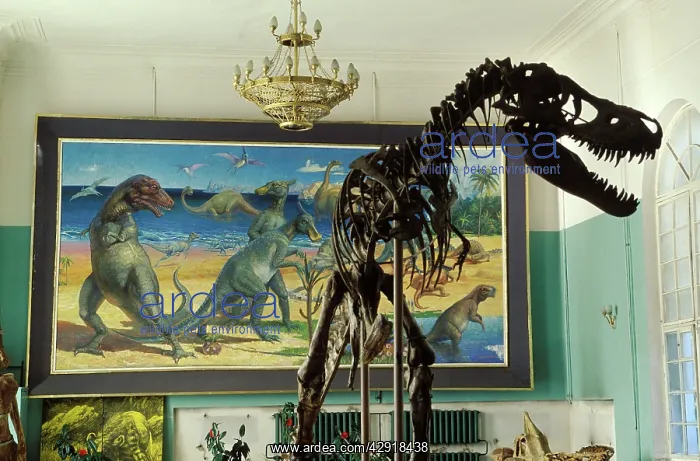 : Dinosaurs - Theropods: Tarbosaurus : Dinosaurs - Theropods: Tarbosaurus