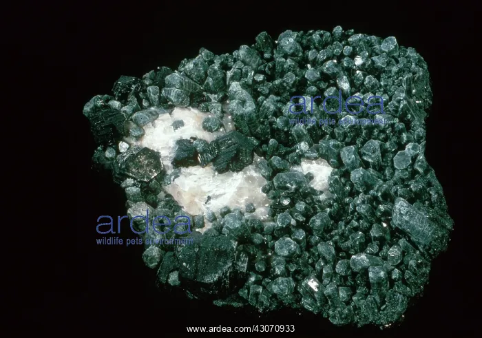 : Diopside, a pyroxene (rock-forming silicate) mineral : Diopside, a pyroxene (rock-forming silicate) mineral
