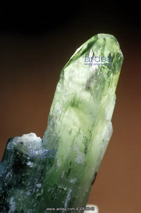 : Diopside from Ala, Italy : Diopside from Ala, Italy