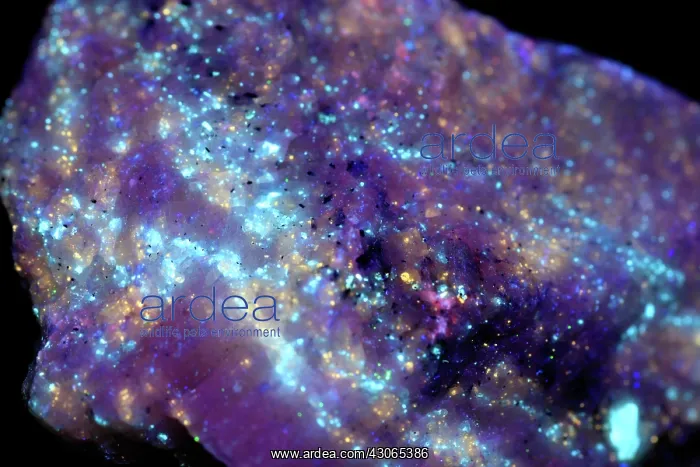 : Diopside in UV light : Diopside in UV light