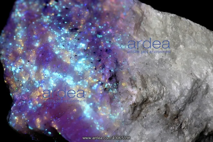 : Diopside in UV light and white light : Diopside in UV light and white light