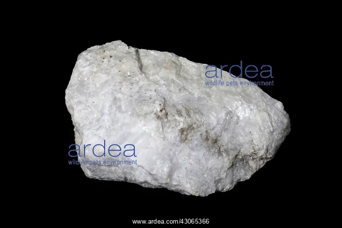 : Diopside in White light : Diopside in White light