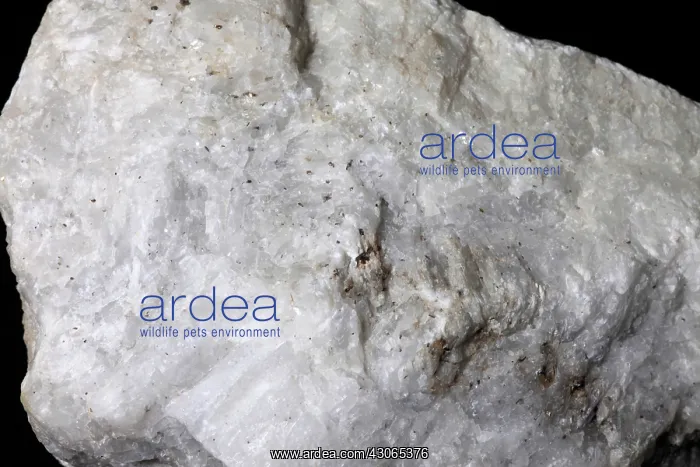 : Diopside in White light : Diopside in White light