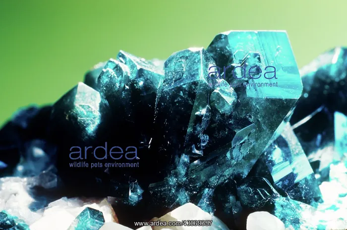  : Dioptase from Tsumeb, Namibia