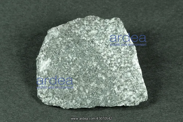 : Diorite. Hand sample of Diorite, an intrusive igneous rock consisting of : Diorite. Hand sample of Diorite, an intrusive igneous rock consisting of