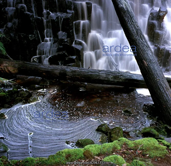 : Dip Falls, northwestern Tasmania, Australia : Dip Falls, northwestern Tasmania, Australia