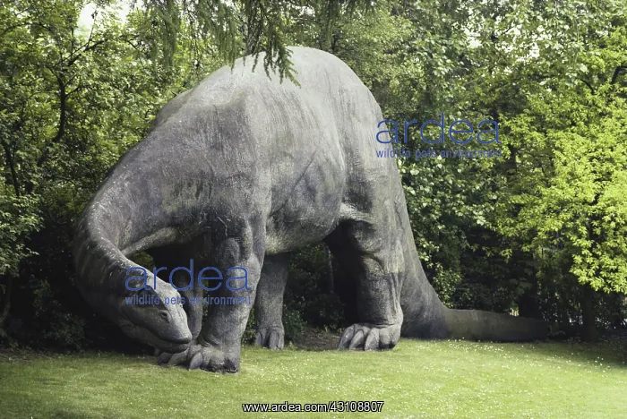 : Diplodocus carnegii : Diplodocus carnegii